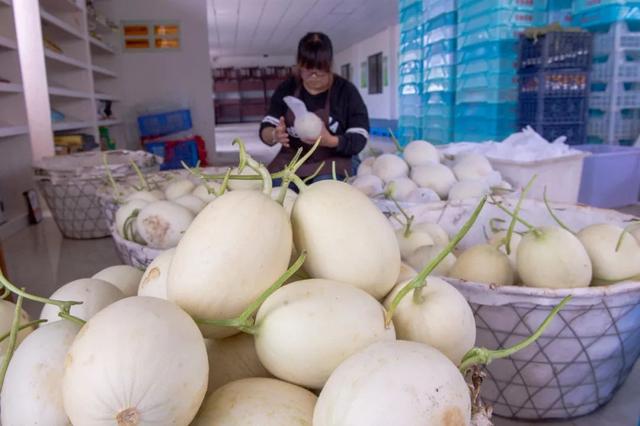 浦东开具首张食用农产品合格证，二维码溯源体系助推全区年内实现全覆盖