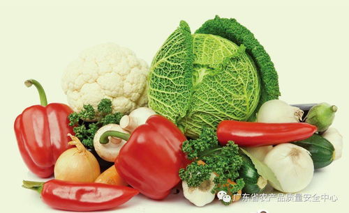 绿色食品 食用农产品科普指南